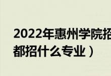 2022年惠州学院招生计划及招生人数（各省都招什么专业）