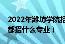 2022年潍坊学院招生计划及招生人数（各省都招什么专业）