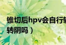 锥切后hpv会自行转阴吗（锥切后hpv会立马转阴吗）