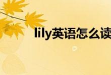 lily英语怎么读（lily英语如何读）