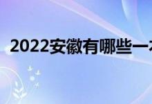 2022安徽有哪些一本大学（一本院校名单）