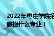 2022年枣庄学院招生计划及招生人数（各省都招什么专业）