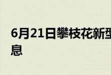 6月21日攀枝花新型冠状病毒肺炎疫情最新消息