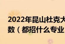 2022年昆山杜克大学各省招生计划及招生人数（都招什么专业）