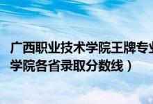 广西职业技术学院王牌专业的学费（2019广西建设职业技术学院各省录取分数线）