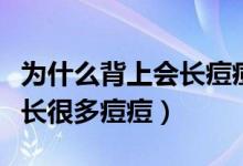 为什么背上会长痘痘又痛又痒（为什么背上会长很多痘痘）