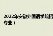 2022年安徽外国语学院招生计划及招生人数（各省都招什么专业）