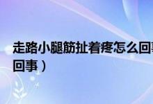 走路小腿筋扯着疼怎么回事（小腿筋疼走路疼痛难忍是怎么回事）