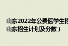 山东2022年公费医学生招生计划（2022年全国各大高校在山东招生计划及分数）