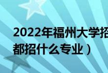 2022年福州大学招生计划及招生人数（各省都招什么专业）