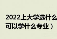 2022上大学选什么专业（2022高考数学不好可以学什么专业）