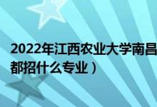 2022年江西农业大学南昌商学院招生计划及招生人数（各省都招什么专业）