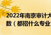 2022年南京审计大学各省招生计划及招生人数（都招什么专业）