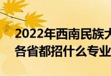 2022年西南民族大学招生计划及招生人数（各省都招什么专业）