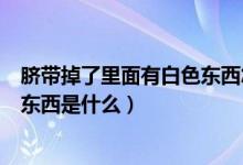 脐带掉了里面有白色东西怎么回事（脐带掉了里面有白色的东西是什么）