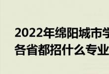 2022年绵阳城市学院招生计划及招生人数（各省都招什么专业）