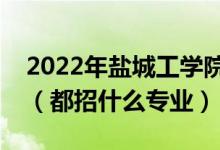 2022年盐城工学院各省招生计划及招生人数（都招什么专业）