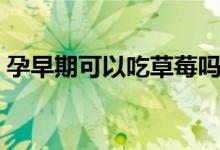 孕早期可以吃草莓吗（孕早期可以吃芒果吗）