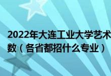 2022年大连工业大学艺术与信息工程学院招生计划及招生人数（各省都招什么专业）