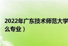 2022年广东技术师范大学招生计划及招生人数（各省都招什么专业）