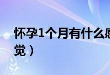 怀孕1个月有什么感觉（怀孕1个月有什么感觉）