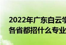 2022年广东白云学院招生计划及招生人数（各省都招什么专业）