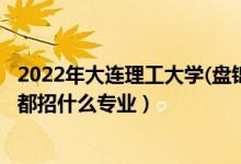 2022年大连理工大学(盘锦校区)招生计划及招生人数（各省都招什么专业）