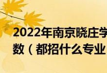 2022年南京晓庄学院各省招生计划及招生人数（都招什么专业）