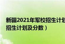 新疆2021年军校招生计划（2022年全国提前批军校在新疆招生计划及分数）