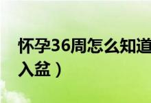 怀孕36周怎么知道入盆（怀孕36周怎么知道入盆）