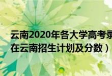 云南2020年各大学高考录取分数线（2022年全国各大高校在云南招生计划及分数）