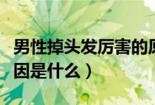 男性掉头发厉害的原因（男性掉头发厉害的原因是什么）