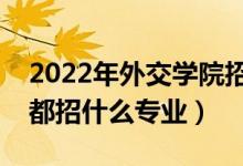 2022年外交学院招生计划及招生人数（各省都招什么专业）