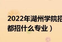 2022年湖州学院招生计划及招生人数（各省都招什么专业）