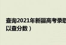 查询2021年新疆高考录取分（新疆2022年高考什么时候可以查分数）