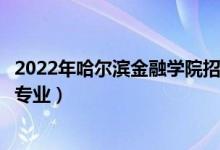 2022年哈尔滨金融学院招生计划及招生人数（各省都招什么专业）