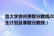 各大学贵州录取分数线2020（2022年双一流大学在贵州招生计划及录取分数线）