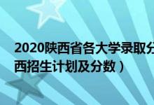 2020陕西省各大学录取分数线（2022年全国各大高校在陕西招生计划及分数）