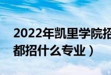 2022年凯里学院招生计划及招生人数（各省都招什么专业）