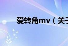 爱转角mv（关于爱转角mv的介绍）