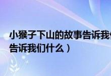 小猴子下山的故事告诉我们什么一年级（小猴子下山的故事告诉我们什么）