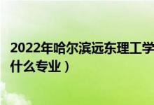 2022年哈尔滨远东理工学院招生计划及招生人数（各省都招什么专业）