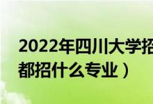 2022年四川大学招生计划及招生人数（各省都招什么专业）