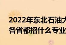 2022年东北石油大学招生计划及招生人数（各省都招什么专业）