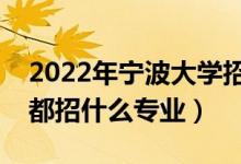 2022年宁波大学招生计划及招生人数（各省都招什么专业）