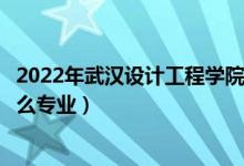 2022年武汉设计工程学院招生计划及招生人数（各省都招什么专业）