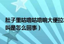 肚子里咕噜咕噜响大便拉水是怎么回事（大便拉水肚子咕咕叫是怎么回事）