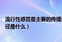 流行性感冒最主要的传播途径（流行性感冒最主要的传播途径是什么）