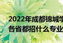 2022年成都锦城学院招生计划及招生人数（各省都招什么专业）