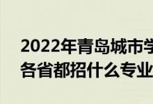 2022年青岛城市学院招生计划及招生人数（各省都招什么专业）